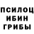 Галлюциногенные грибы прущие грибы A.T.