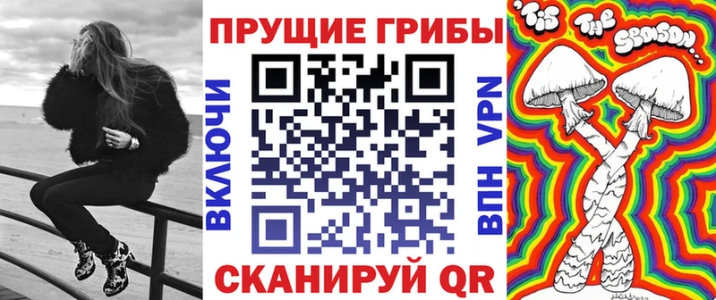 Купить закладки  Харовск  Псилоцибиновые грибы Psilocybine cubensis 